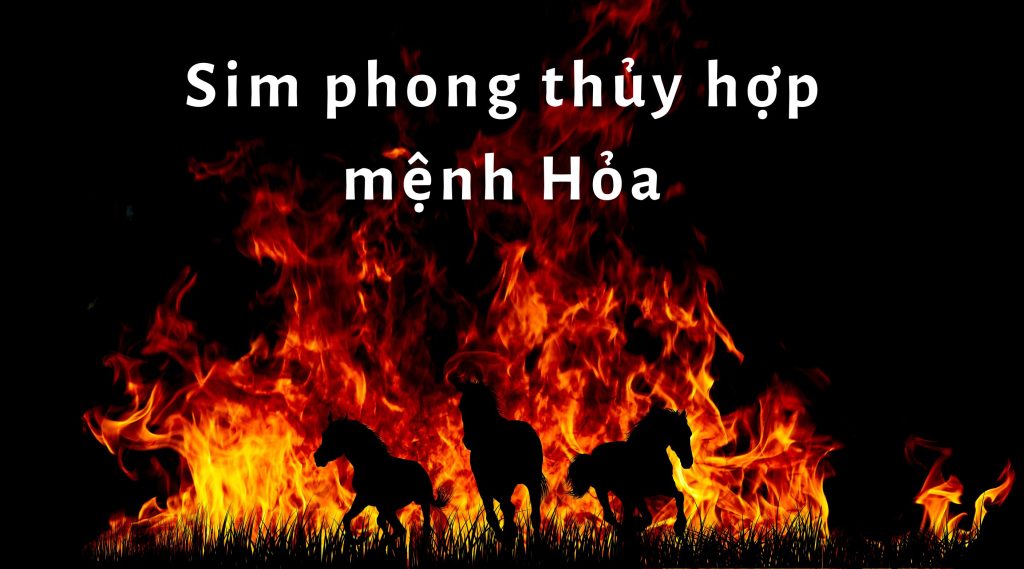 Sim phong thuỷ hợp mệnh Hoả