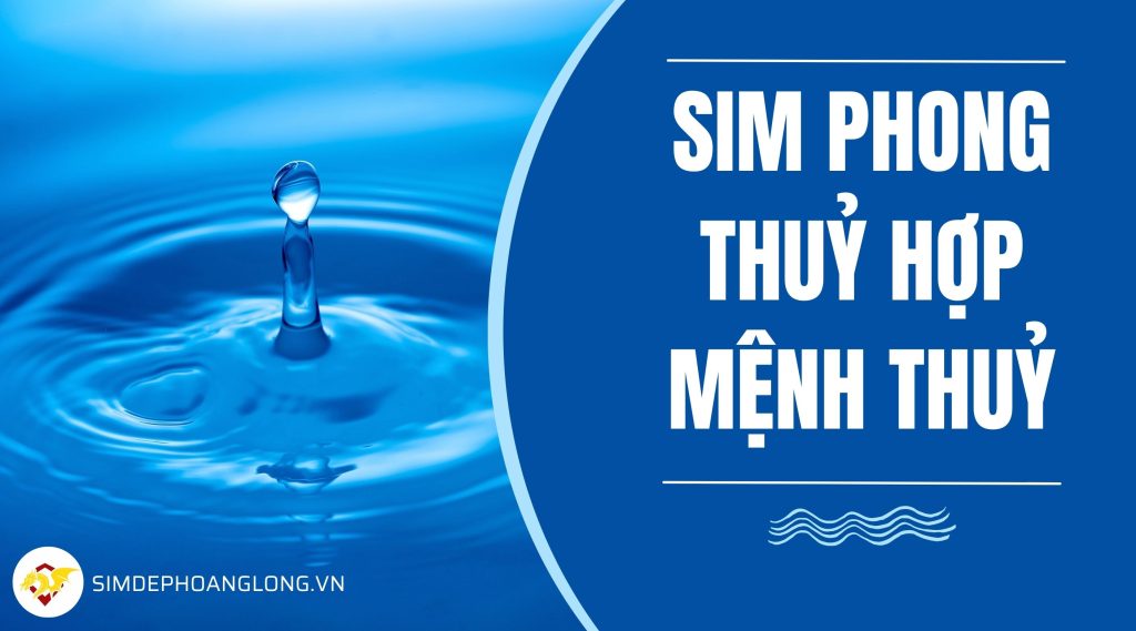 Sim phong thuỷ mệnh thuỷ