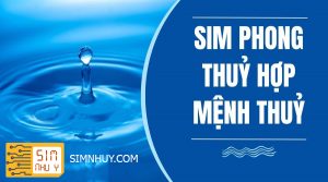 sim phong thuy menh thuy 2 1