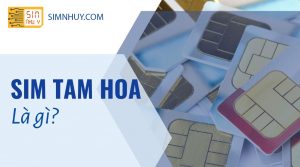 sim tam hoa la gi 1 1024x569 1