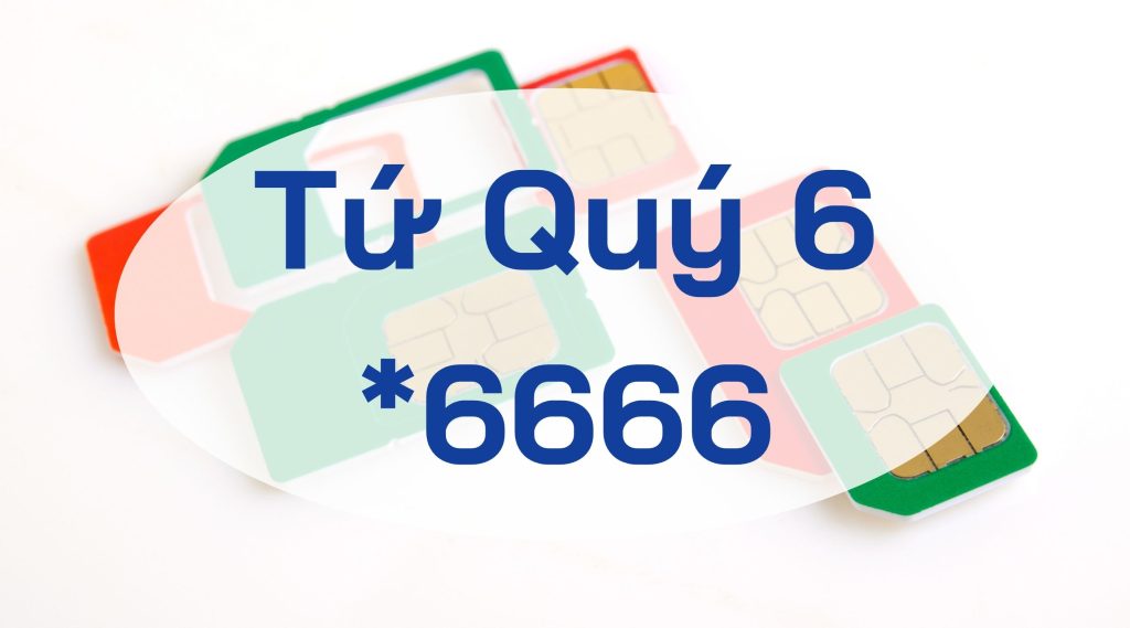 Sim tứ quý 6